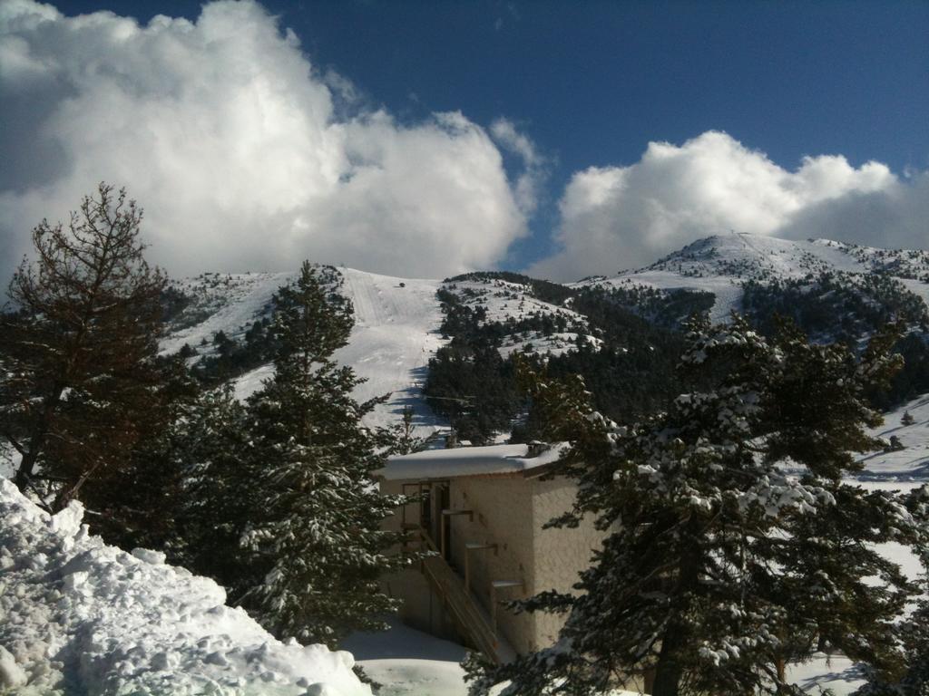 Apartment Face Aux Pistes Gréolières-les-Neiges Extérieur photo