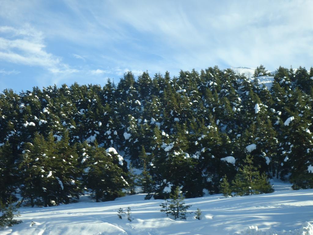 Apartment Face Aux Pistes Gréolières-les-Neiges Extérieur photo