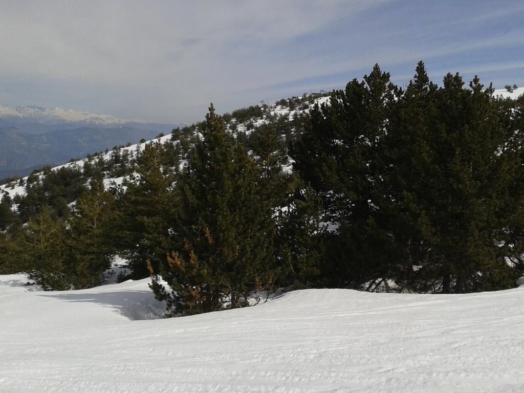 Apartment Face Aux Pistes Gréolières-les-Neiges Extérieur photo